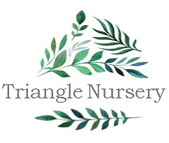 Triangle Nursery - 